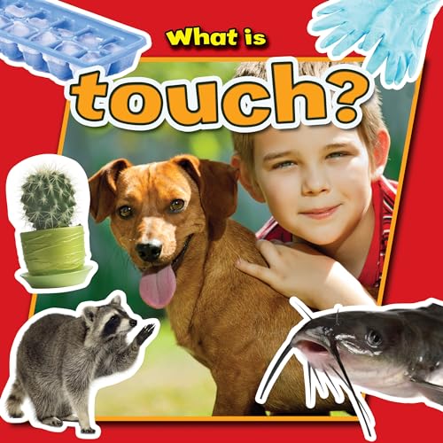 Beispielbild fr What Is Touch? zum Verkauf von Better World Books