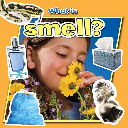 Stock image for What Is Smell? for sale by Better World Books: West