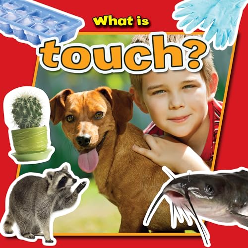 Beispielbild fr What Is Touch Senses CloseUp zum Verkauf von PBShop.store US