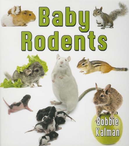 Imagen de archivo de Baby Rodents It's Fun to Learn about Baby Animals a la venta por PBShop.store US