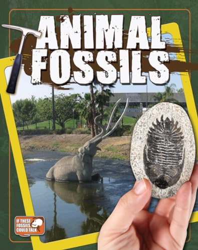 Beispielbild fr Animal Fossils zum Verkauf von Better World Books