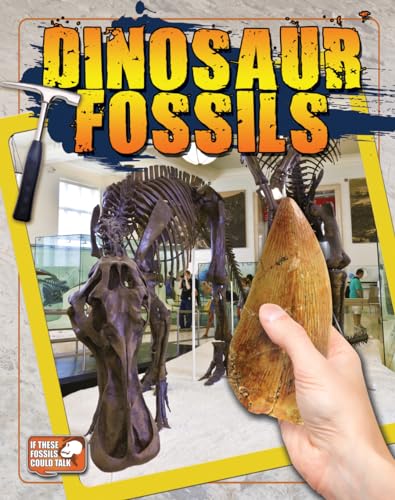 Beispielbild fr Dinosaur Fossils zum Verkauf von Better World Books