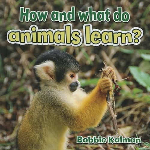 Imagen de archivo de How and What do Animals Learn? (All About Animals Close-Up) a la venta por Chiron Media