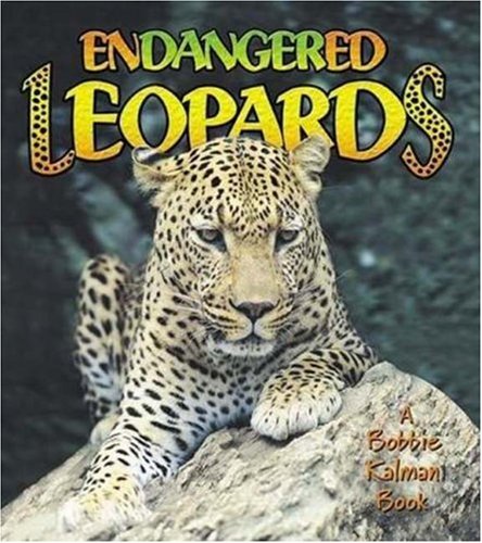 Imagen de archivo de Endangered Leopards a la venta por Better World Books