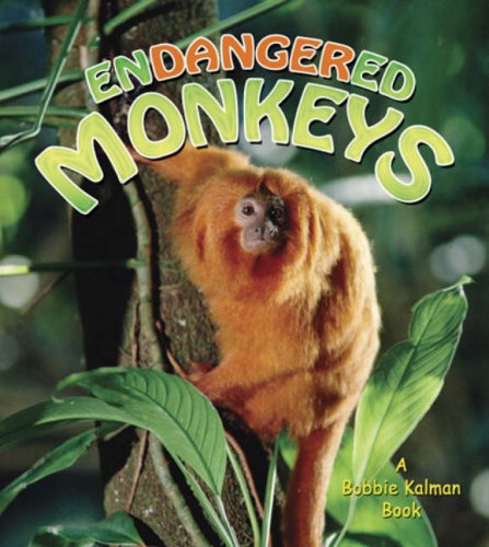 Imagen de archivo de Endangered Monkeys a la venta por Better World Books