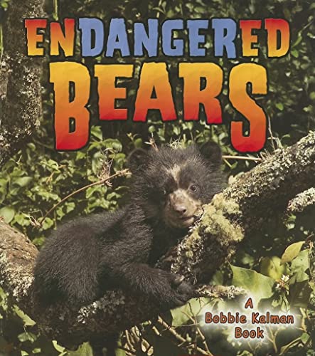 Stock image for Endangered Bears for sale by Better World Books