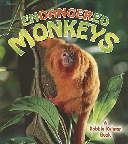 Beispielbild fr Endangered Monkeys zum Verkauf von Better World Books