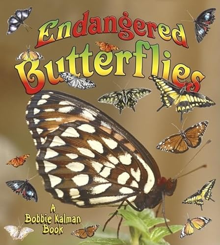 Beispielbild fr Endangered Butterflies zum Verkauf von Better World Books