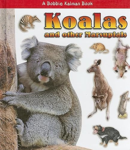 Beispielbild fr Koalas and Other Marsupials zum Verkauf von Better World Books