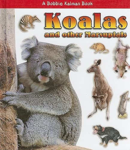 9780778721628: Koalas and Other Marsupials (What Kind of Animal Is It? (Hardcover))