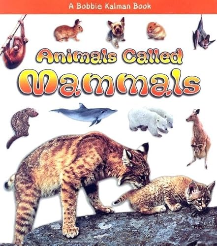 Stock image for Animals Called Mammals (What Kind of Animal Is It?) for sale by Once Upon A Time Books