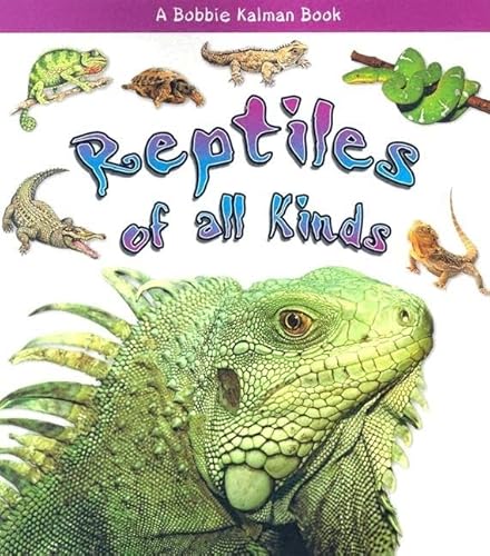 Reptiles of All Kinds (What Kind of Animal Is It?) (9780778722168) by MacAulay, Kelley