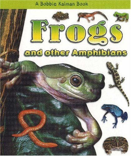 Beispielbild fr Frogs &amp; Other Amphibians zum Verkauf von Blackwell's