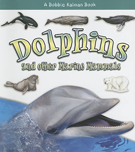 Dolphins and Other Marine Mammals (What Kind of Animal Is It?) (9780778722229) by MacAulay, Kelley