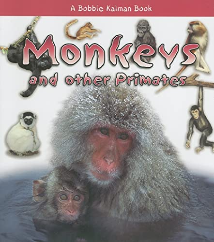 Imagen de archivo de Monkeys and Other Primates (What Kind of Animal Is It?) a la venta por Wonder Book
