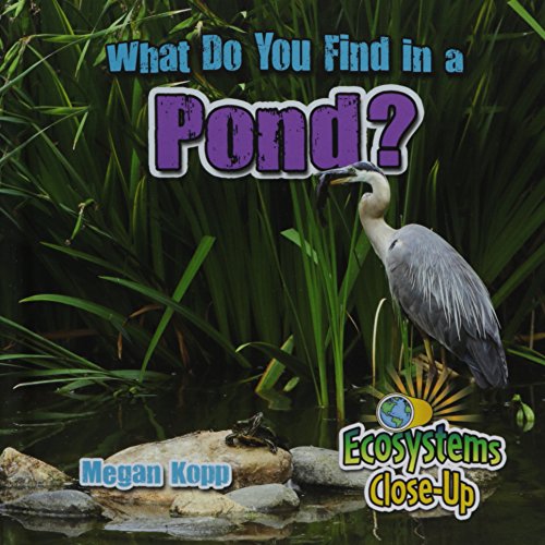 Stock image for What Do You Find in a Pond? for sale by Better World Books