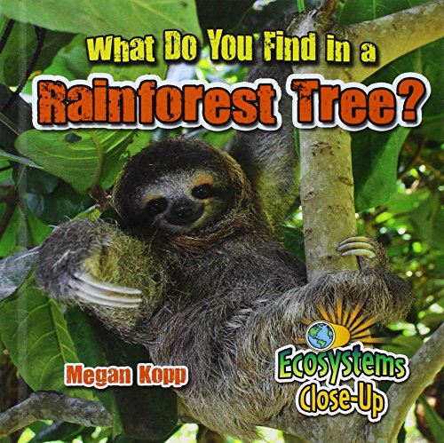 Beispielbild fr What Do You Find in a Rainforest Tree? zum Verkauf von Better World Books