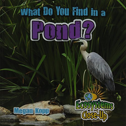 Stock image for What Do You Find in a Pond? (Ecosystems Close-up) for sale by HPB-Diamond