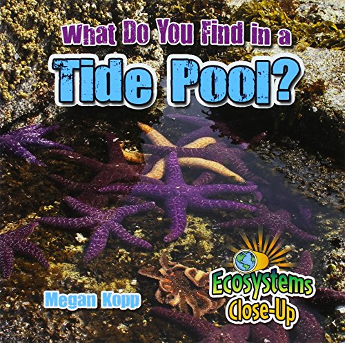 Imagen de archivo de What Do You Find in a Tide Pool? (Ecosystems Close-Up) a la venta por Your Online Bookstore