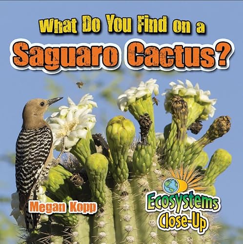 Imagen de archivo de What Do You Find on a Saguaro Cactus? (Ecosystems Close-up) a la venta por Buyback Express