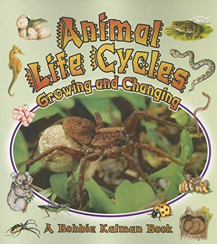 Stock image for Animal Life Cycles: Growing and Changing (Nature's Changes) for sale by SecondSale