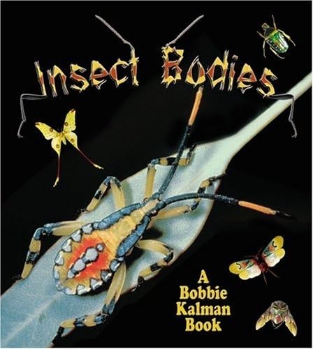 Stock image for Insect Bodies (The World of Insects) for sale by SecondSale