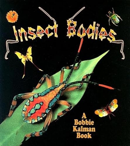 Insect Bodies (World of Insects) (9780778723745) by Aloian, Molly