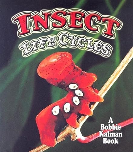 Imagen de archivo de Insect Life Cycles (World of Insects (Crabtree Publishing Paperback)) a la venta por SecondSale