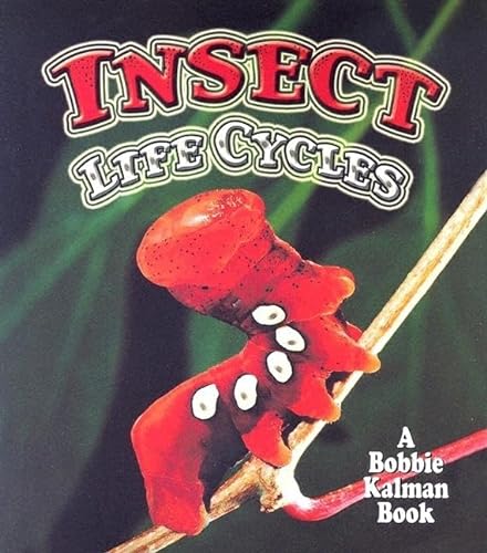 Stock image for Insect Life Cycles (World of Insects (Crabtree Publishing Paperback)) for sale by SecondSale