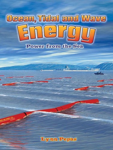 Wave and Tidal Energy See more 1st Edition1st Edition