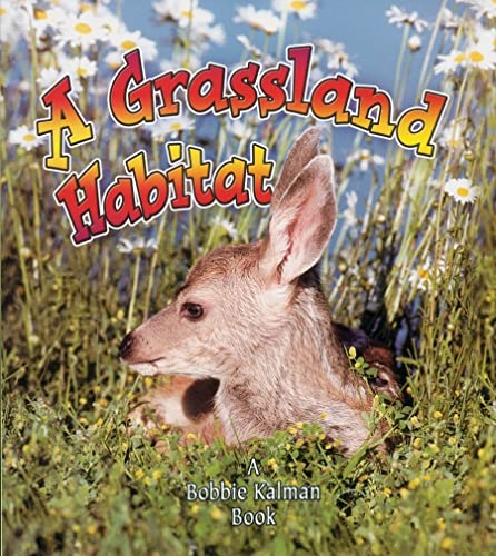 Stock image for A Grassland Habitat (Introducing Habitats) for sale by Jenson Books Inc