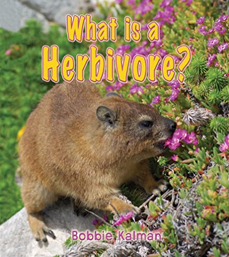 Stock image for What Is a Herbivore? for sale by Better World Books