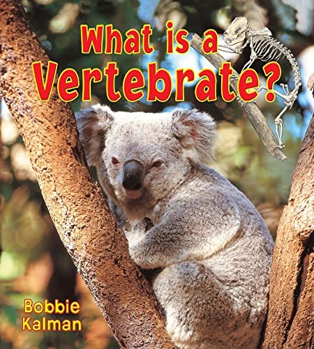 Stock image for What Is a Vertebrate? (Big Science Ideas) for sale by Front Cover Books