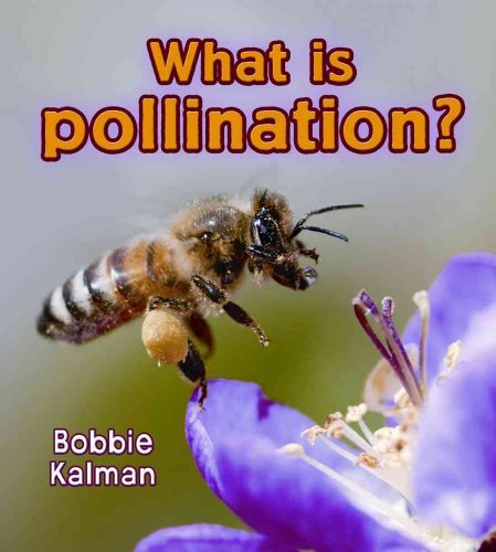 Stock image for What is Pollination? (Big Science Ideas) for sale by Front Cover Books