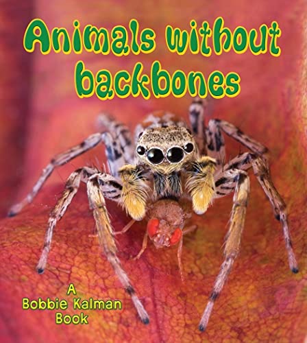 9780778732990: Animals Without Backbones (Big Science Ideas (Crabtree)) -  Kalman, Bobbie: 0778732991 - AbeBooks