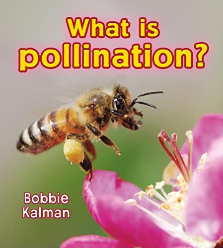 What Is Pollination? (Big Science Ideas (Paperback))