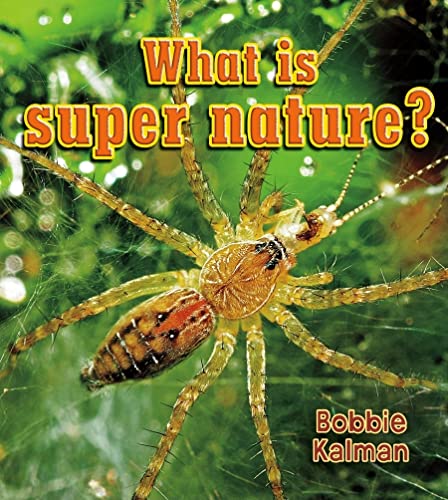 Stock image for What Is Super Nature? (Big Science Ideas) for sale by Ergodebooks