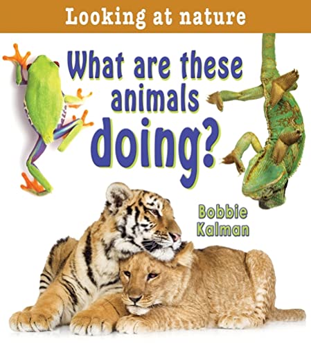 9780778733447: What Are These Animals Doing? (Looking at Nature, 11)