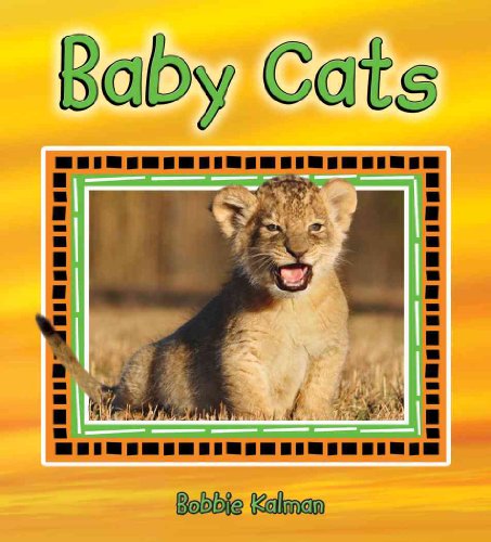 Imagen de archivo de Baby Cats a la venta por Better World Books