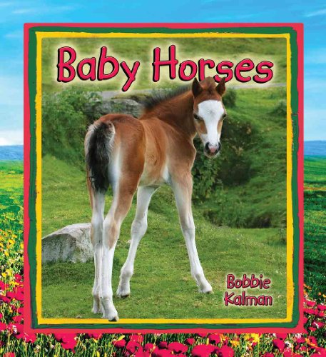 9780778739531: Baby Horses (It's Fun to Learn About Baby Animals)