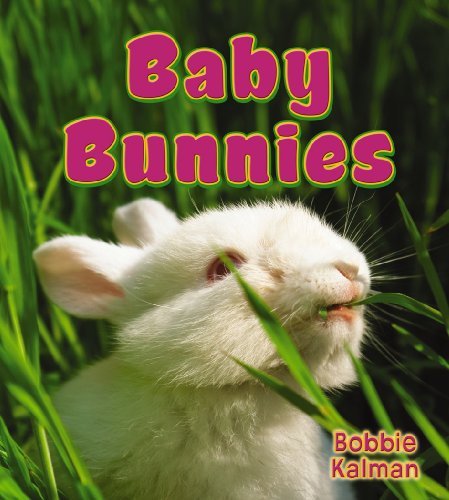 9780778739586: Baby Bunnies (It's Fun to Learn about Baby Animals)