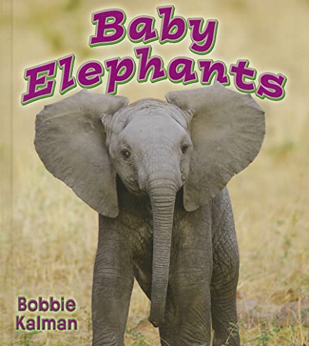 9780778739593: Baby Elephants