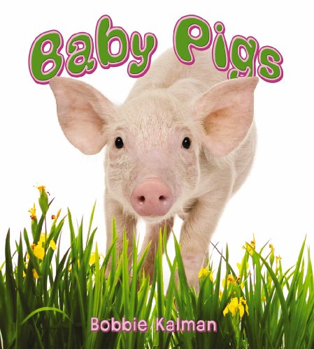 Baby Pigs (It's Fun to Learn About Baby Animals) (9780778739623) by Kalman, Bobbie