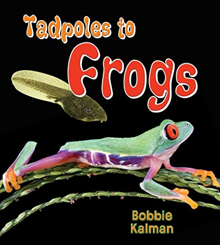 Beispielbild fr Tadpoles to Frogs zum Verkauf von Blackwell's