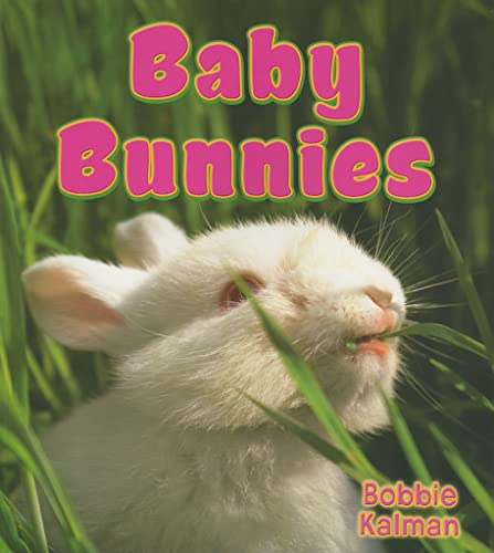 Beispielbild fr Baby Bunnies (It's Fun to Learn about Baby Animals (Paperback)) zum Verkauf von SecondSale