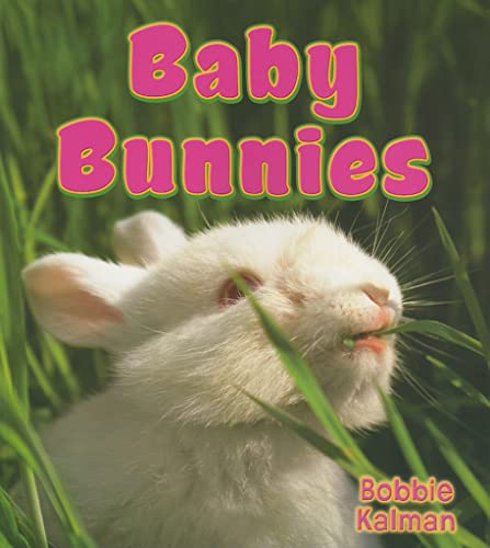 Stock image for Baby Bunnies (It's Fun to Learn about Baby Animals (Paperback)) for sale by SecondSale