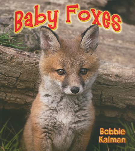 Stock image for Baby Foxes (Its Fun to Learn about Baby Animals) for sale by Goodwill of Colorado