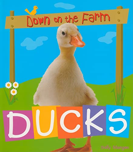 Ducks (Down on the Farm) (9780778740520) by Morgan, Sally