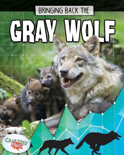 Stock image for Bringing Back the Gray Wolf for sale by Better World Books