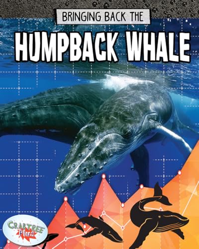 Beispielbild fr Bringing Back the Humpback Whale zum Verkauf von Better World Books